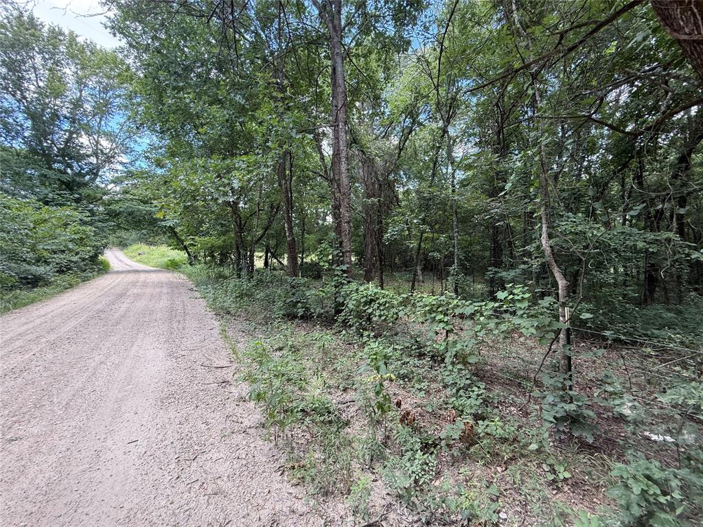 0000 County Road 1130 Property Photo 32