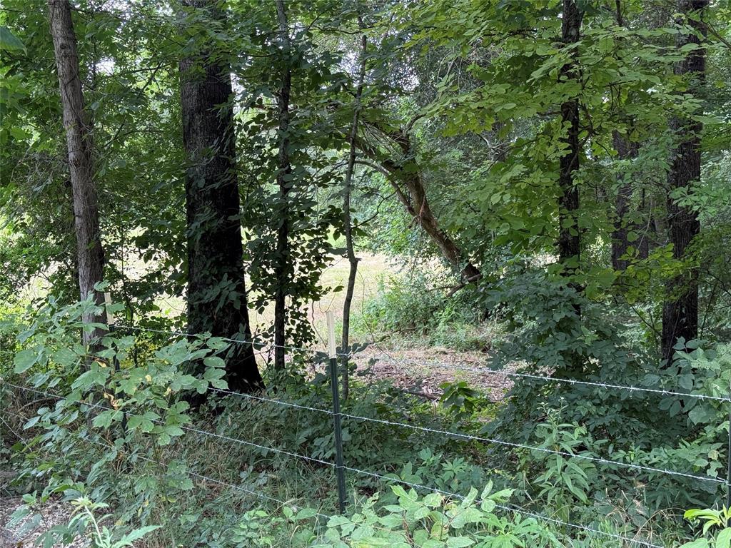 0000 County Road 1130 Property Photo 33