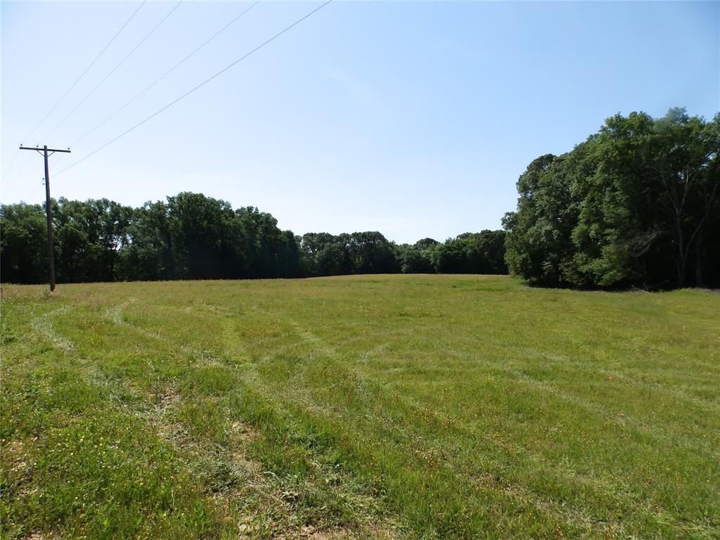 3168 Hwy 175 Property Photo 3