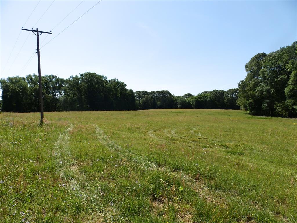 3168 Hwy 175 Property Photo 5