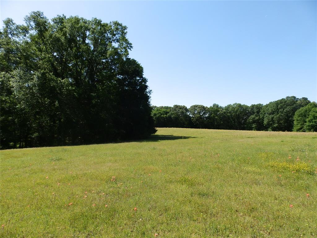 3168 Hwy 175 Property Photo 8
