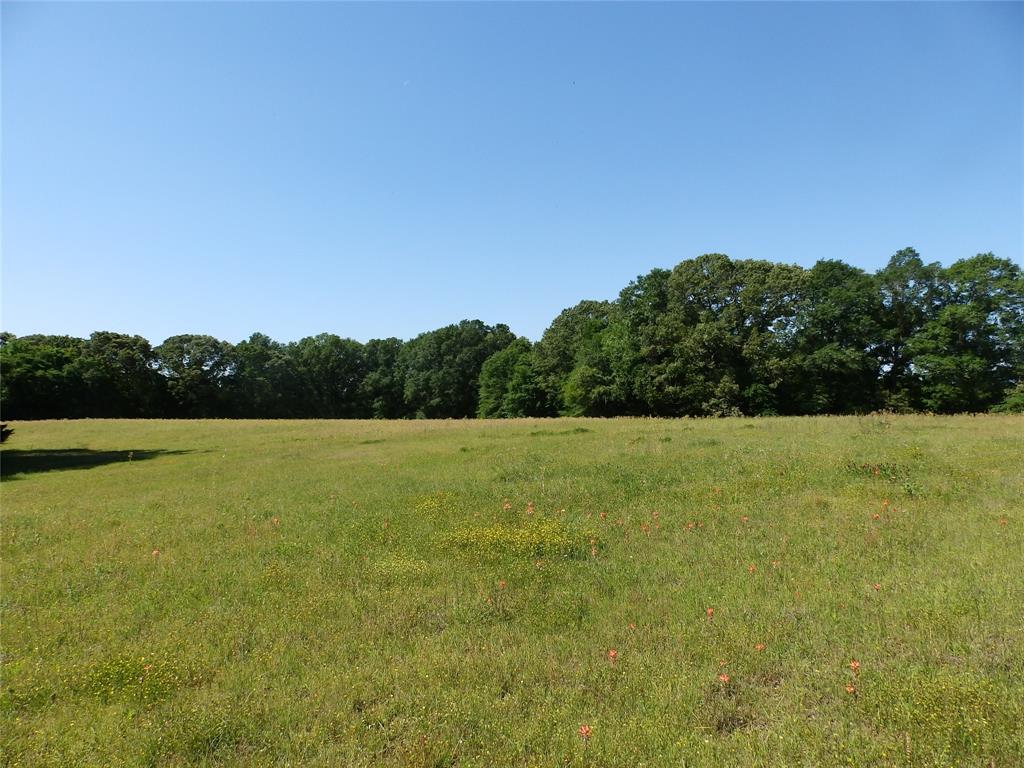 3168 Hwy 175 Property Photo 9