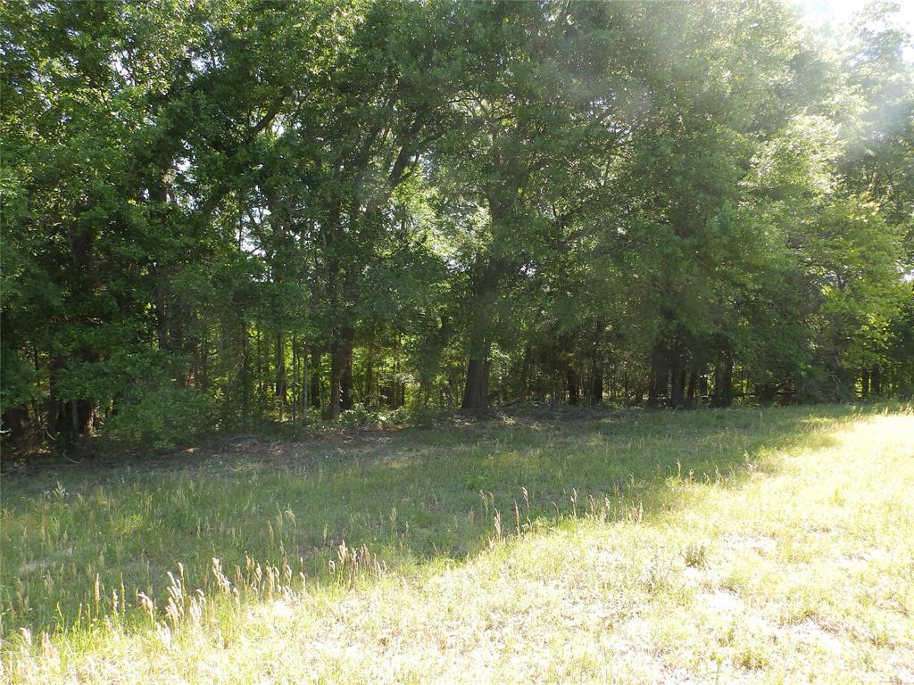 3168 Hwy 175 Property Photo 10