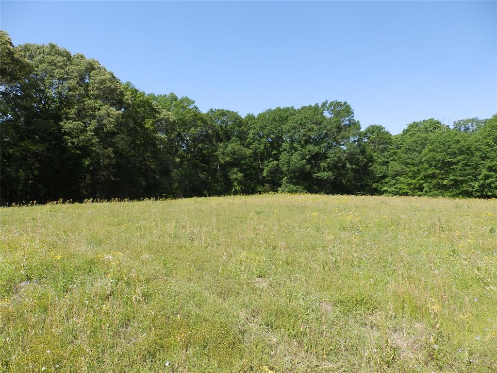 3168 Hwy 175 Property Photo 11