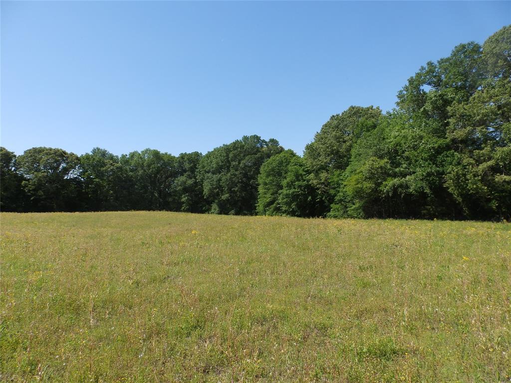3168 Hwy 175 Property Photo 15