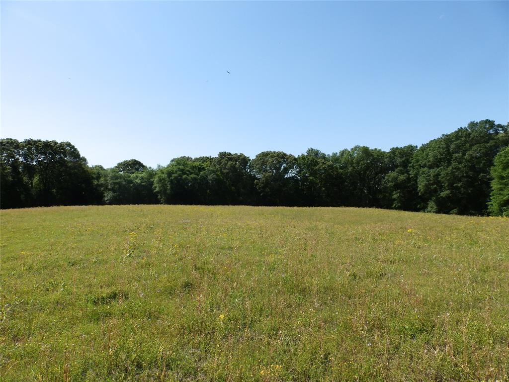 3168 Hwy 175 Property Photo 16