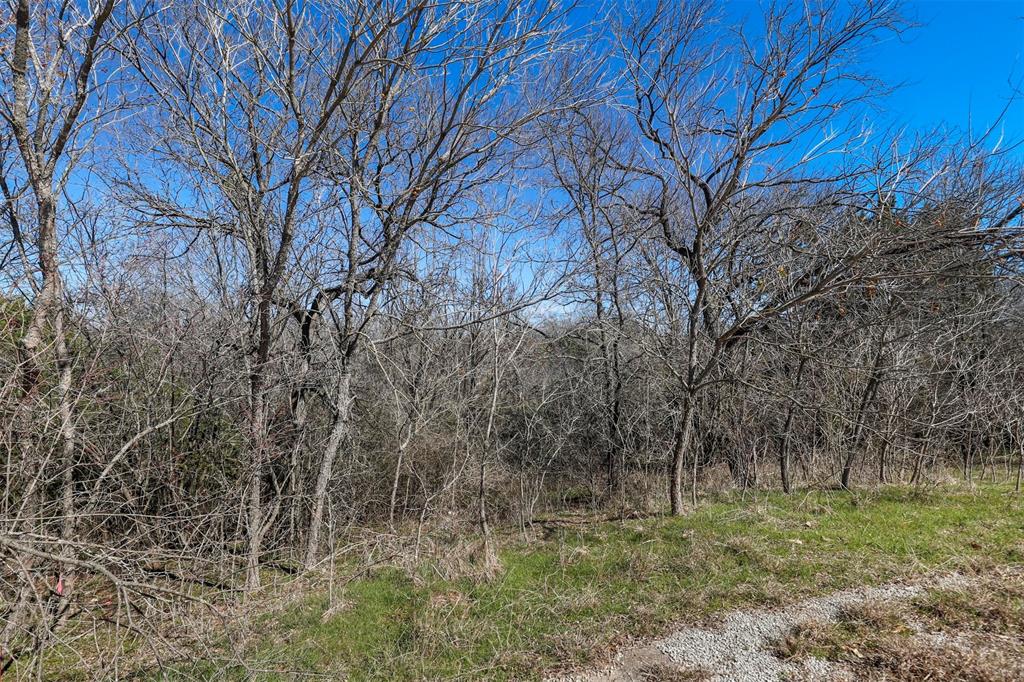 38107 Misty Ridge Drive Property Photo 3