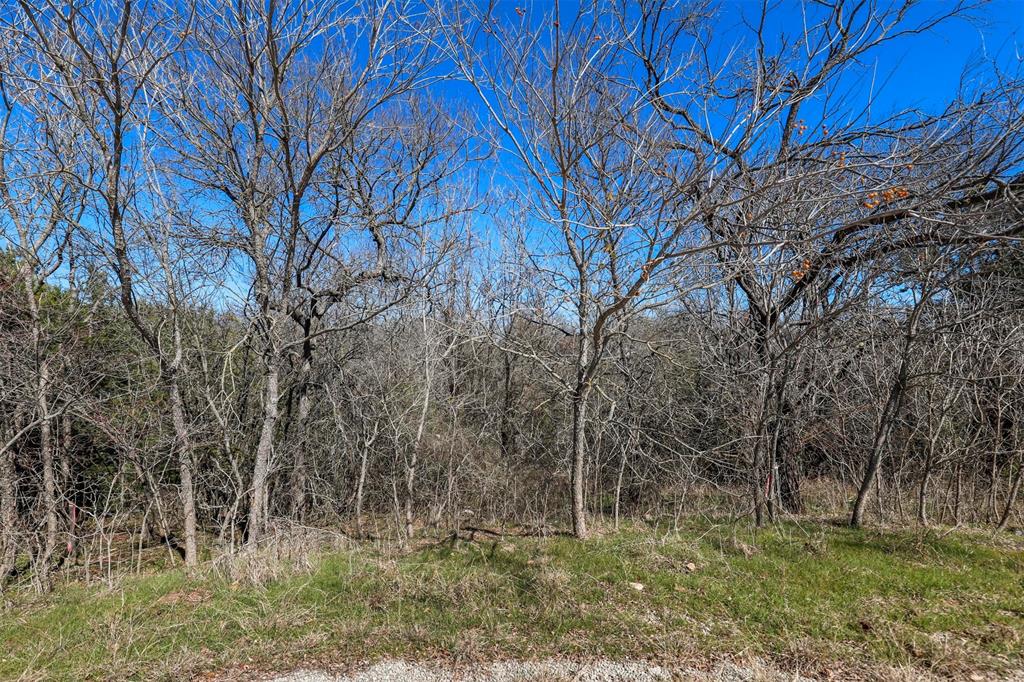 38107 Misty Ridge Drive Property Photo 4