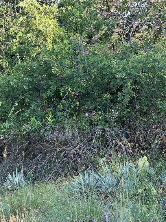 Lot 669 S Lakeside Drive Property Photo 1