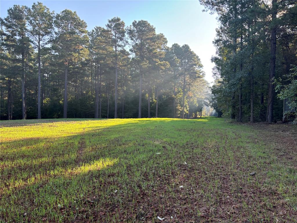 00 Old Plain Dealing Road Property Photo 1