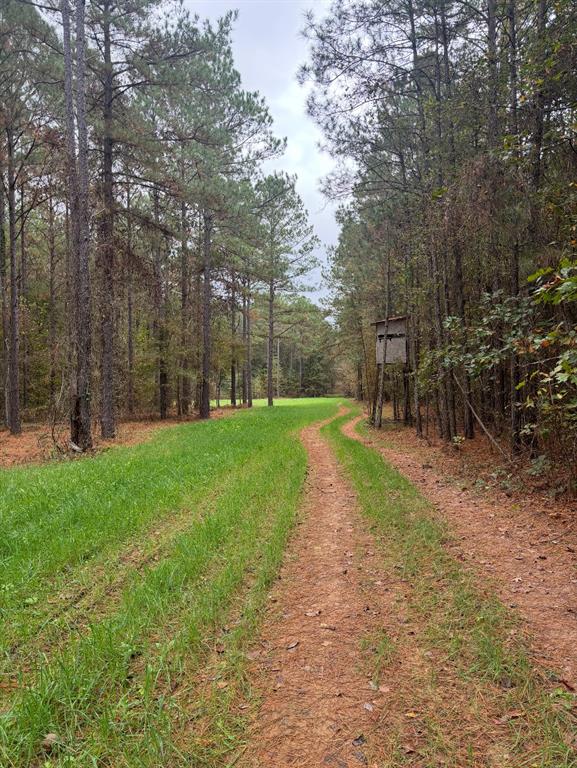 00 Old Plain Dealing Road Property Photo 2