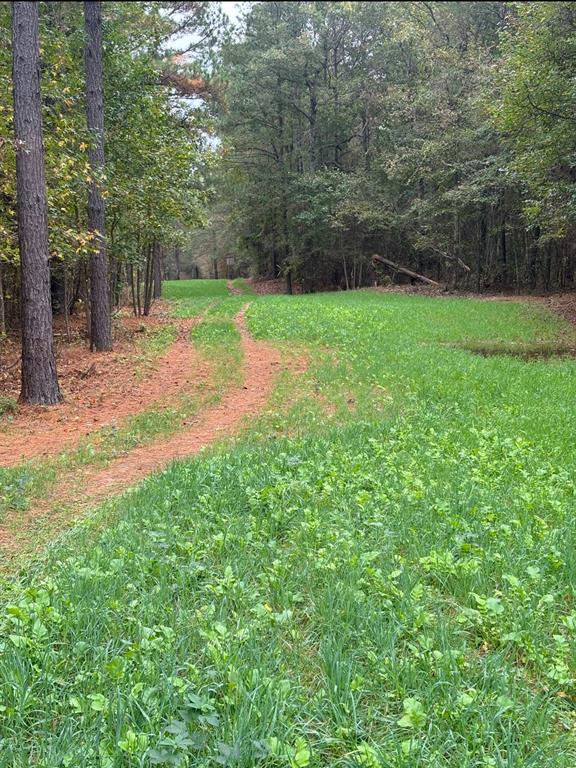 00 Old Plain Dealing Road Property Photo 3