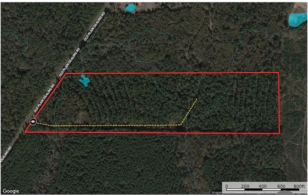 00 Old Plain Dealing Road Property Photo 5