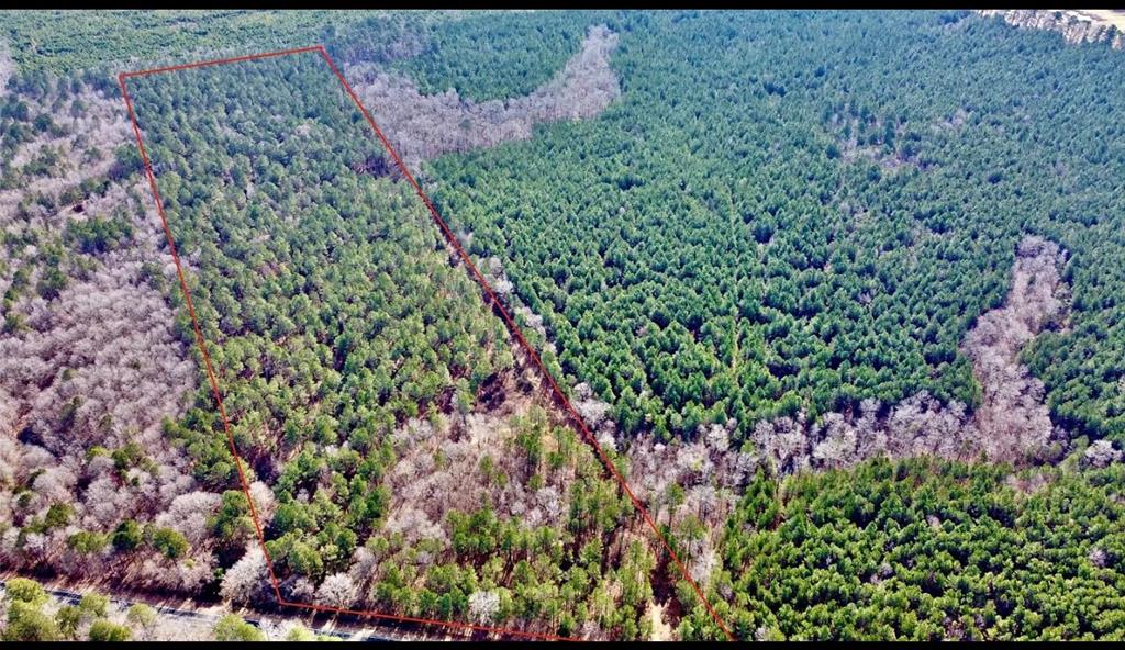 00 Old Plain Dealing Road Property Photo 6