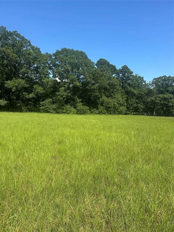 0 Highway 371 Property Photo 1