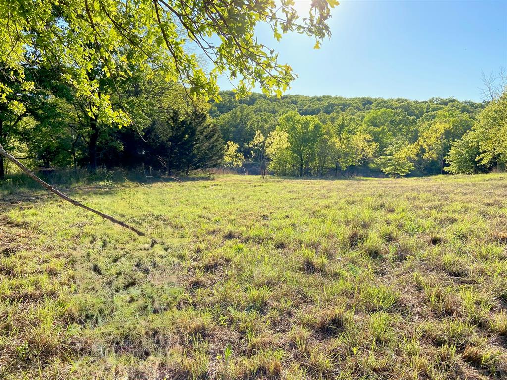Lot 455 Ranchview Court Property Photo 2