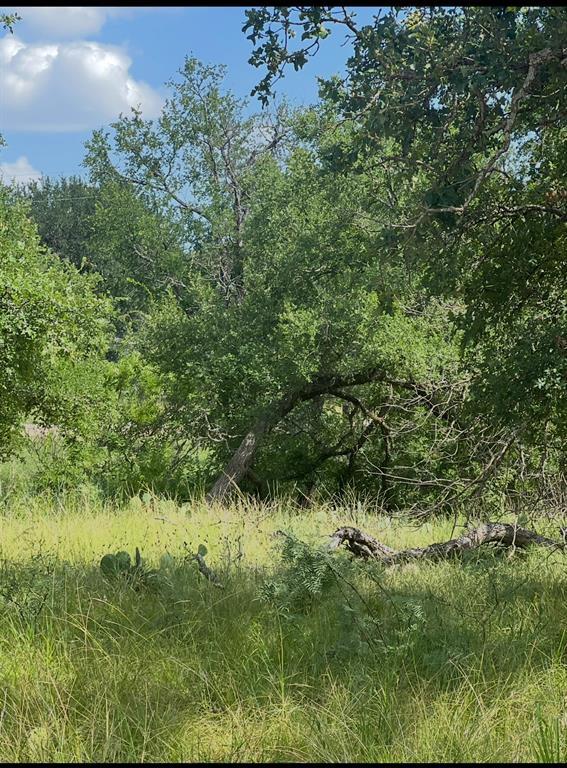 Lot 697 S Lakes Drive Property Photo 1