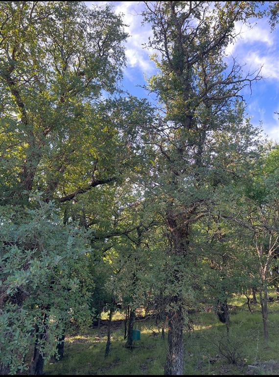 Lot 707 S Lakes Drive Property Photo 1