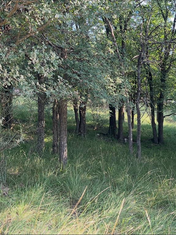 Lot 943 S Lakes Drive Property Photo 2