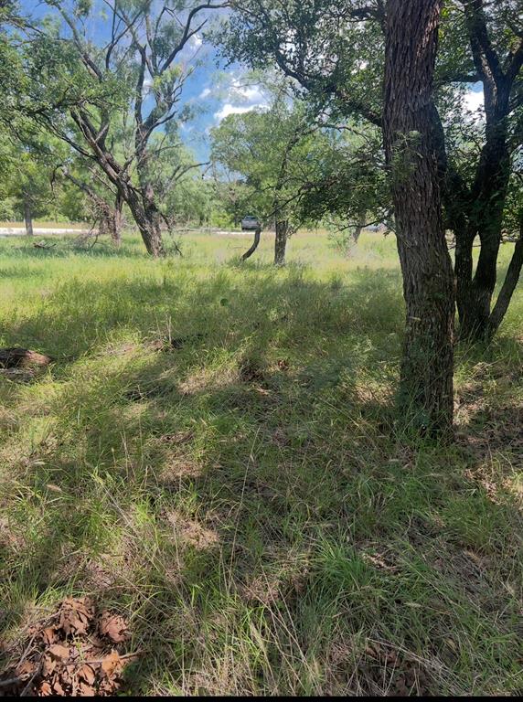 Lot 933 Oak Point Drive Property Photo 1