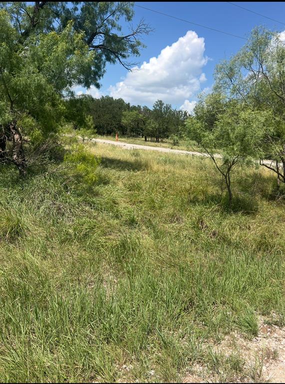 Lot 917 Oak Point Drive Property Photo 1