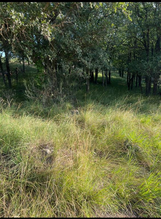 Lot 914 Oak Point Drive Property Photo 1