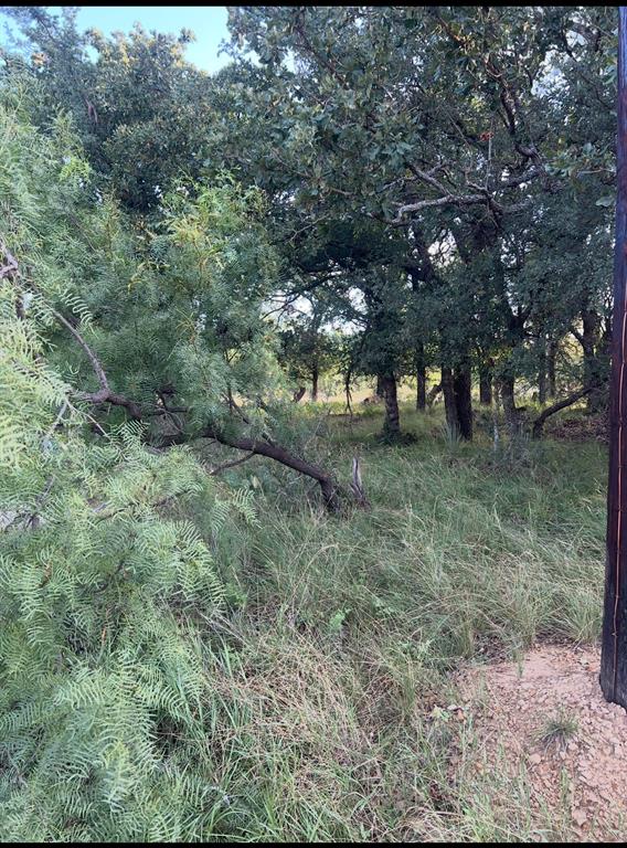 Lot 961 S Lakes Drive Property Photo 1