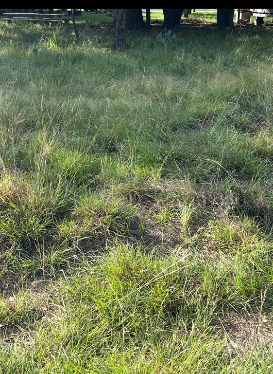Lot 790 Oak Point Drive Property Photo 1