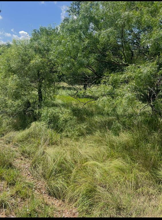 Lot 821 Oak Point Drive Property Photo 1