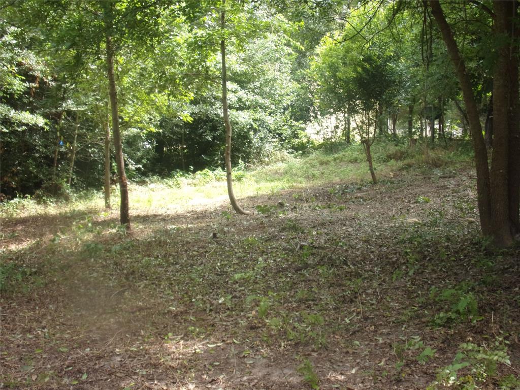 751 Dogwood Trail Property Photo 3