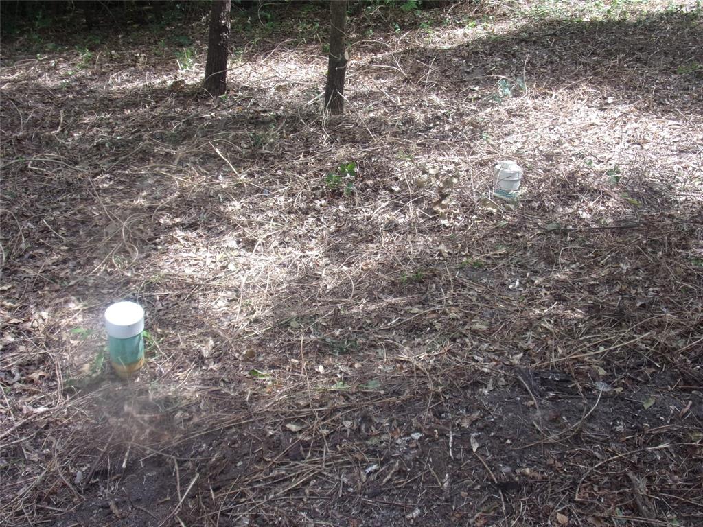 751 Dogwood Trail Property Photo 4