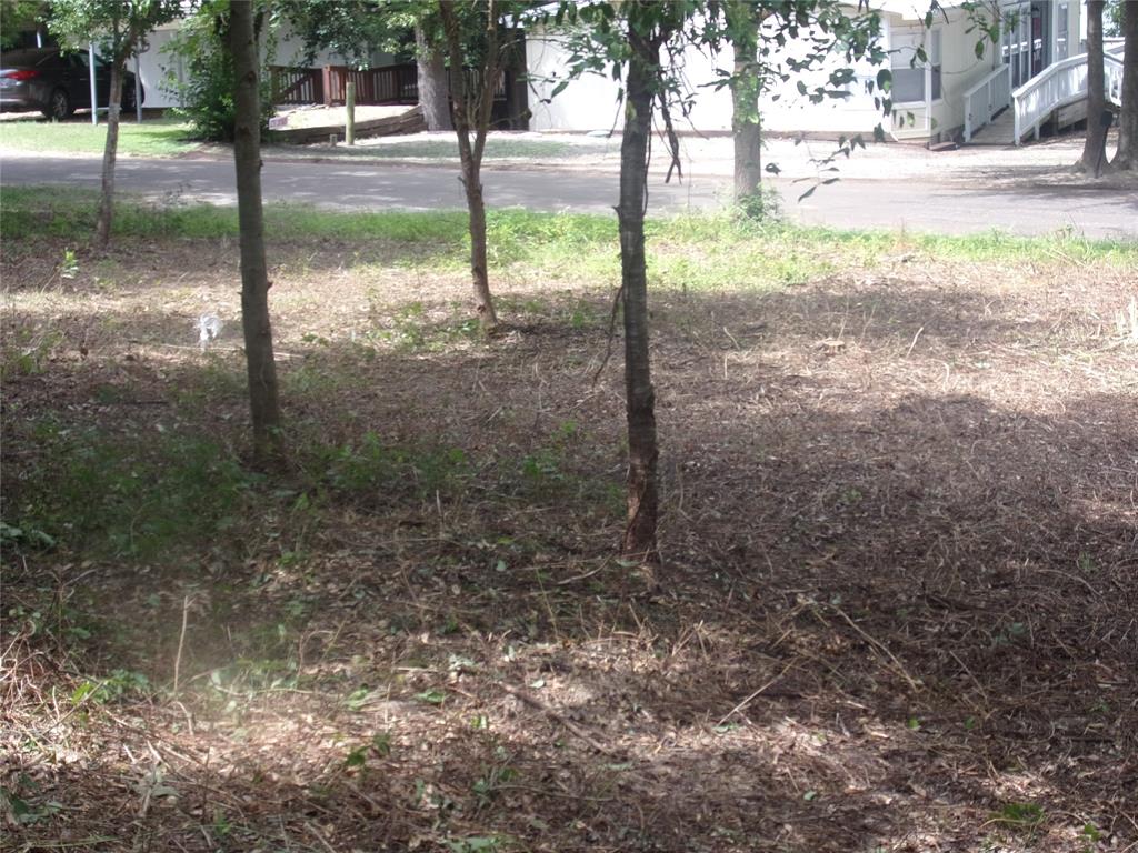 751 Dogwood Trail Property Photo 5