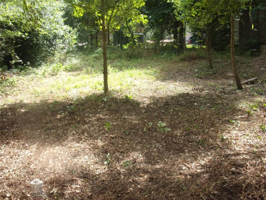 751 Dogwood Trail Property Photo 6
