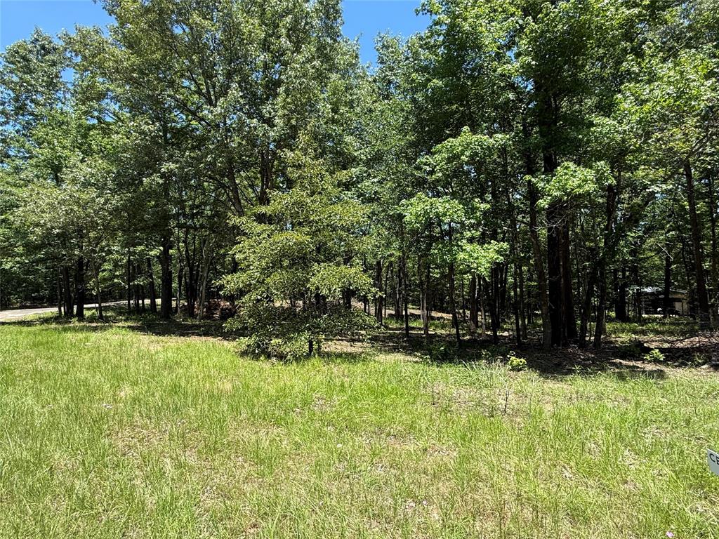 Tbd Pr 5861 (lot 2) Property Photo 1