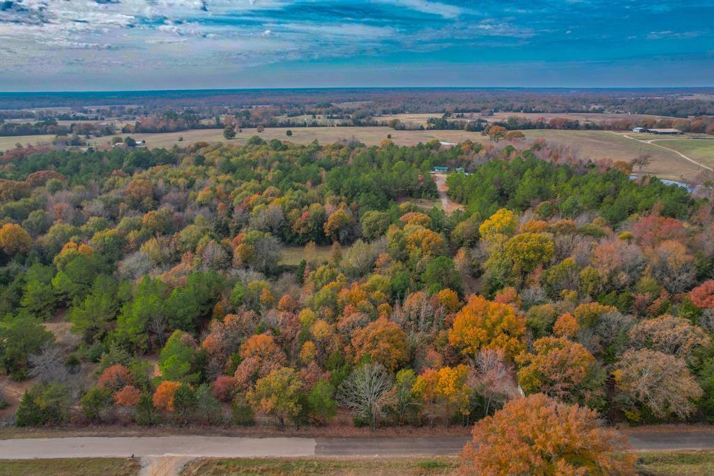 0 County Road 4960 Property Photo 1