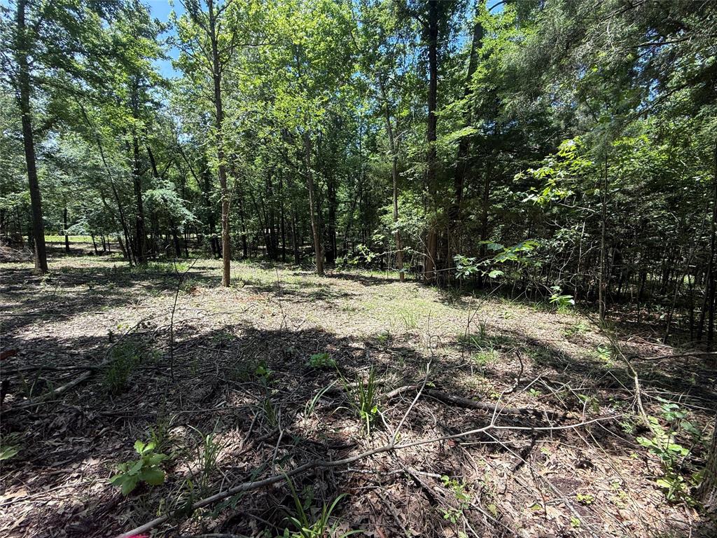 Tbd Pr 5861 (lot 7) Property Photo 1