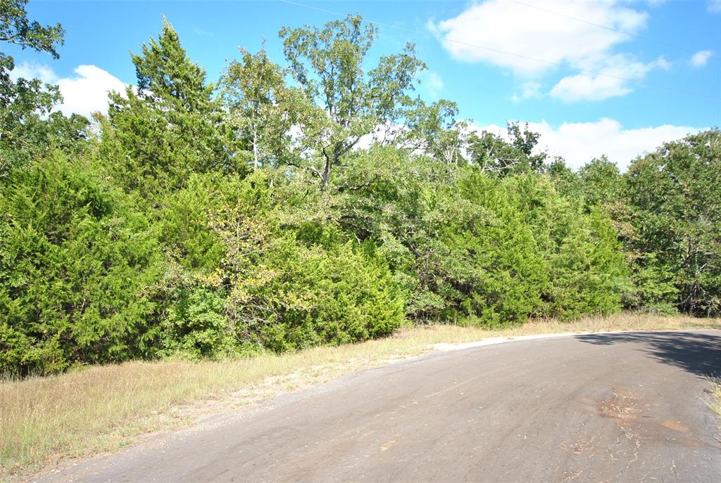 0 Lot 24 Lcr 910 Drive Property Photo 1