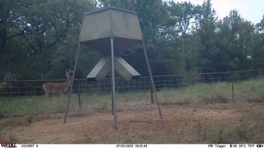 Tbd Us 380 Highway Property Photo 6