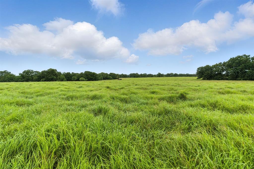 Tbd Us 380 Highway Property Photo 8