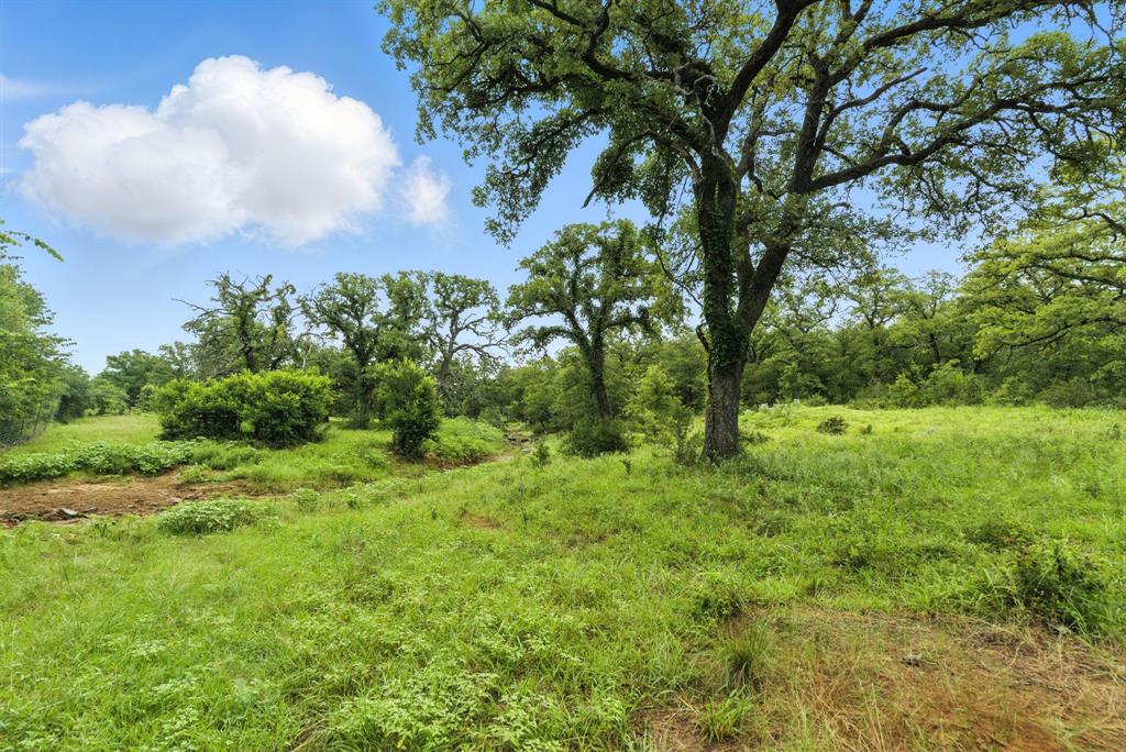 Tbd Us 380 Highway Property Photo 13