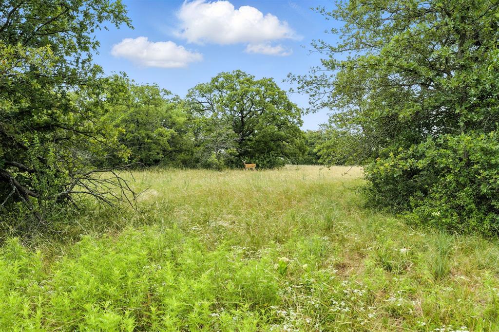 Tbd Us 380 Highway Property Photo 15