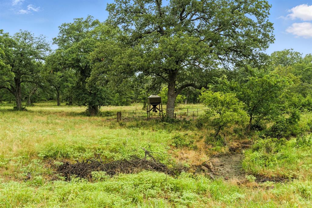 Tbd Us 380 Highway Property Photo 20