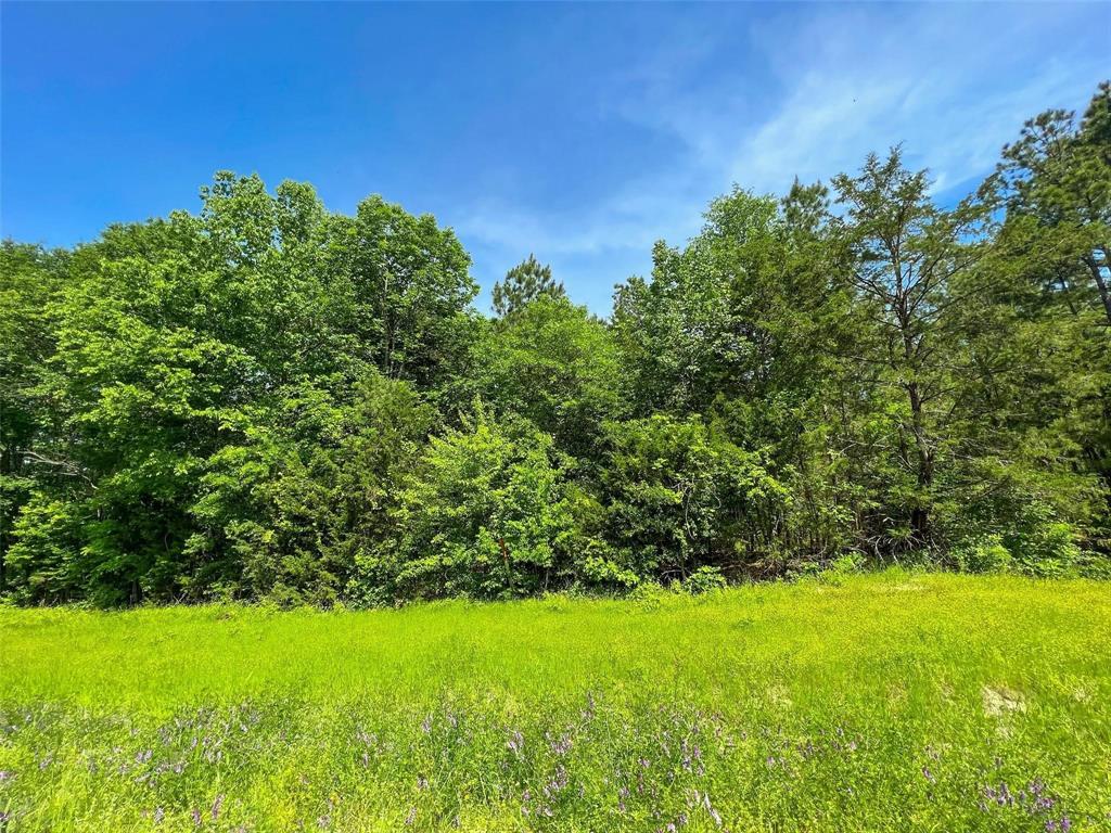Tbd Fm-195 / Cr 2456 Property Photo 1