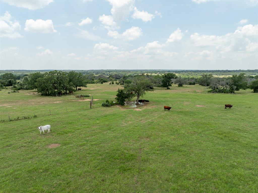 5315 Fm 932 Property Photo 25