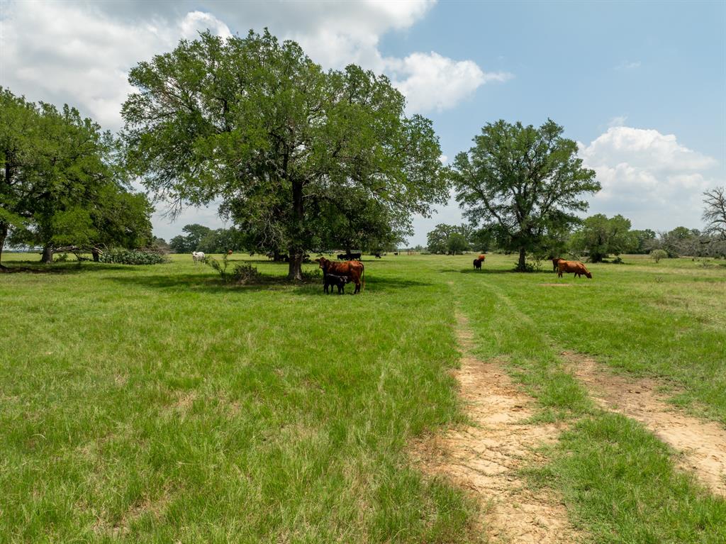 5315 Fm 932 Property Photo 36