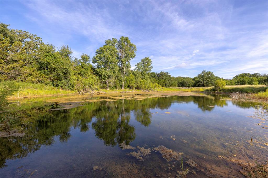 Tbd County Road 239 Property Photo 1