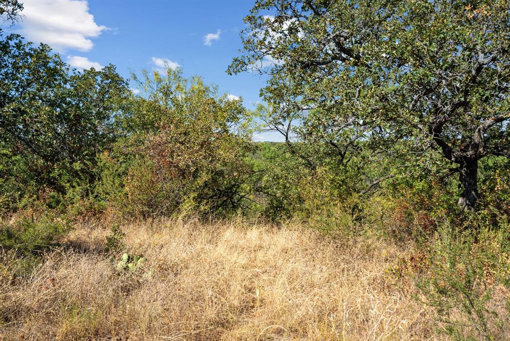 Tract 7 State Highway 6 Property Photo 1