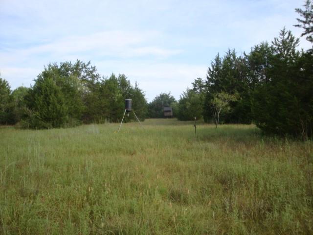 Tbd Se County Road 1070 Property Photo 1
