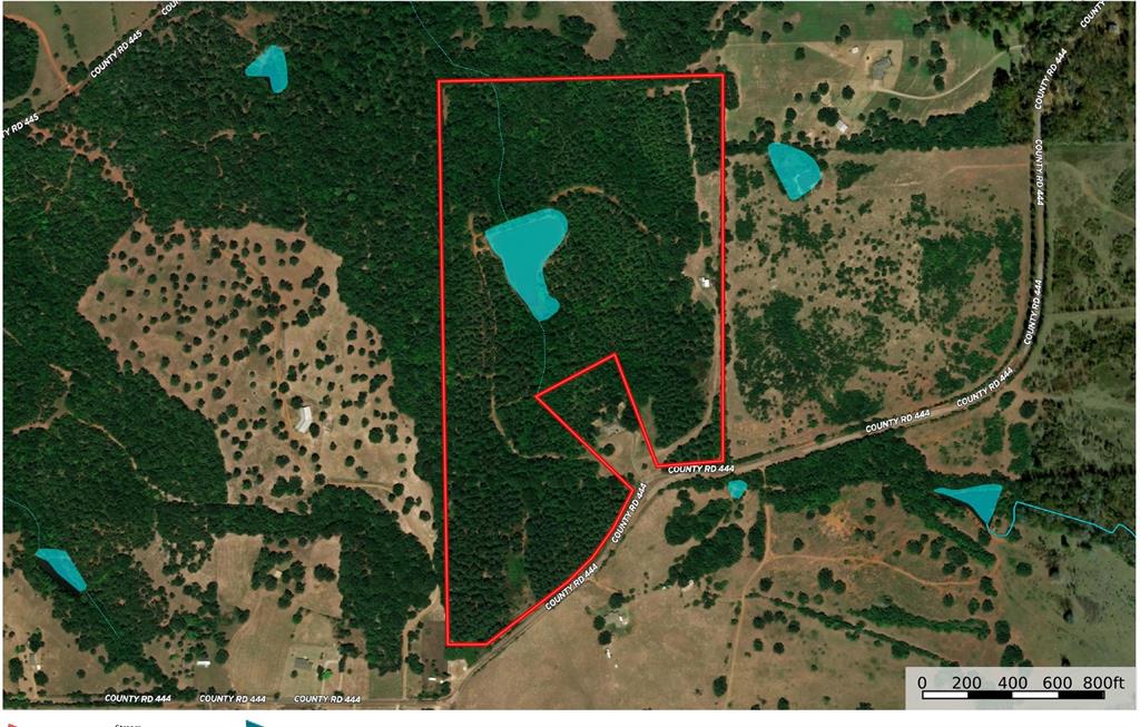 20420 County Road 444 Road Property Photo 1