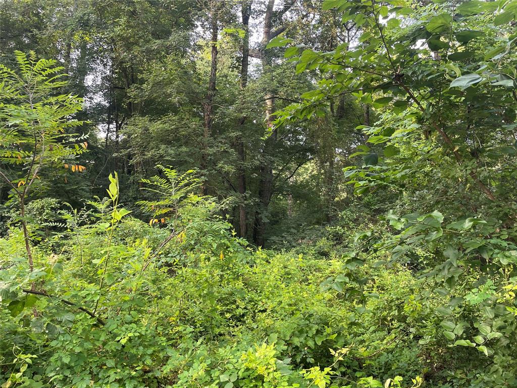 Tbd Fm-16 Property Photo 3